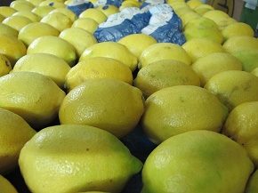 Лимоны, апельсины, грейпфрут ЮАР