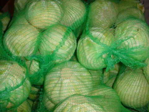 Продаём капусту из Беларуси